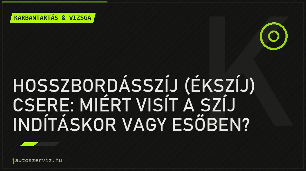 Karbantartás & vizsga - Hosszbordásszíj (ékszíj) csere: Miért visít a szíj indításkor vagy esőben?