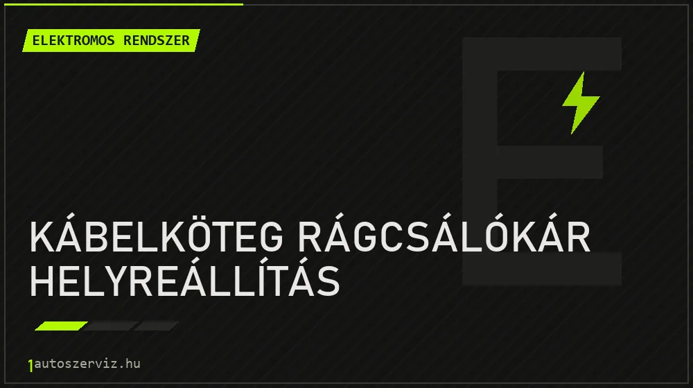 Kábelköteg rágcsálókár helyreállítás javítás - autóvillamossági javítás