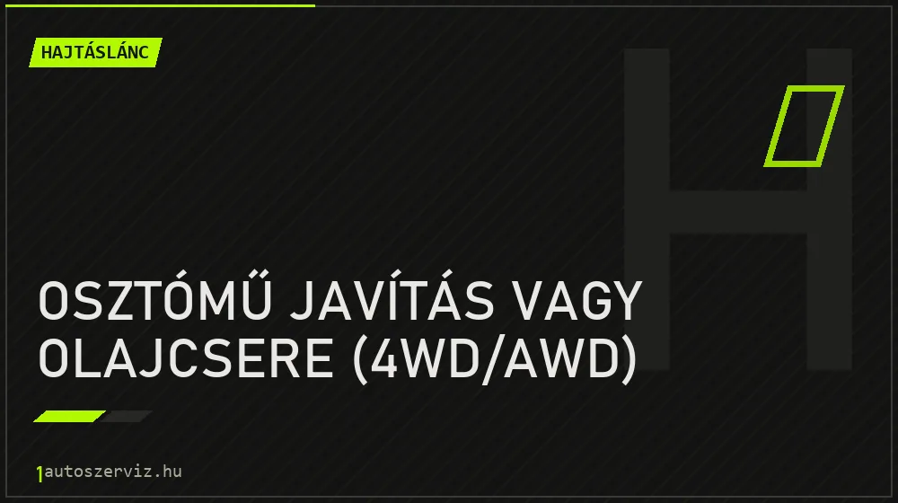 Osztómű javítás vagy olajcsere (4WD/AWD) javítás - hajtáslánc-javítás