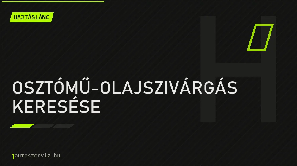 Osztómű-olajszivárgás keresése javítás - hajtáslánc-javítás