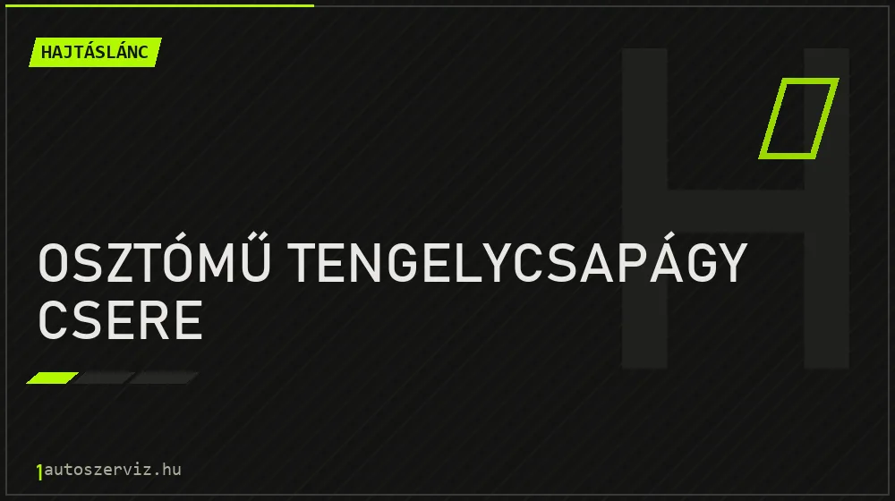 Osztómű tengelycsapágy csere javítás - hajtáslánc-javítás