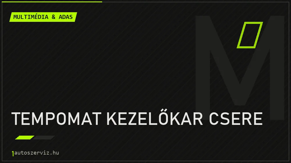 Tempomat kezelőkar csere javítás - multimédia- és asszisztensrendszer-javítás